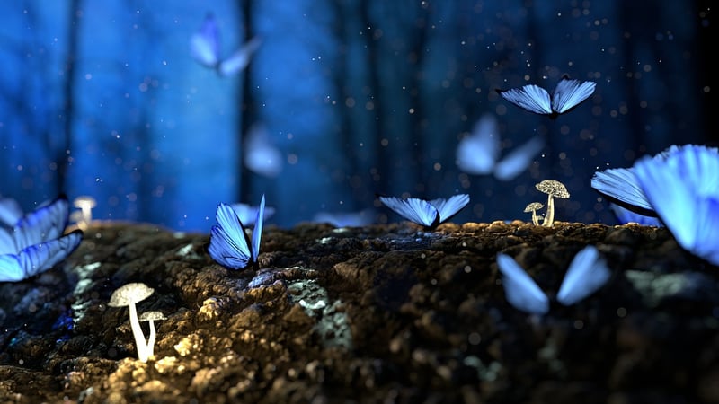 Enchanted Design